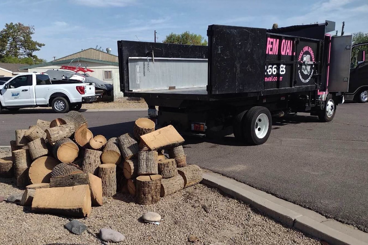 Tree logs and debris before removal